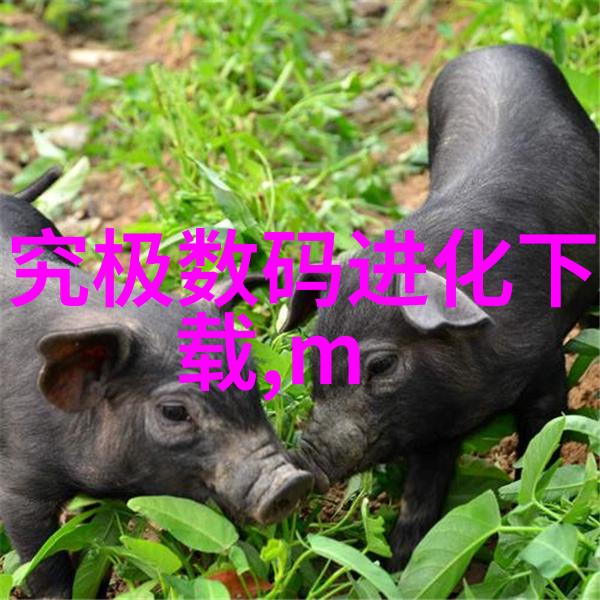 恒温恒湿云端的宁静居所