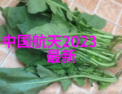 辽宁工程技术大学青春铸就梦想的工匠精神