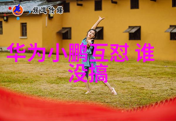 煤炭分选机的工作原理与应用