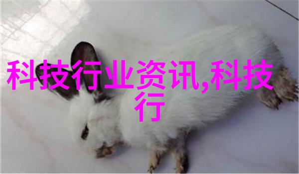市场分析报告PPT中如何处理大量数据以便于理解和决策支持