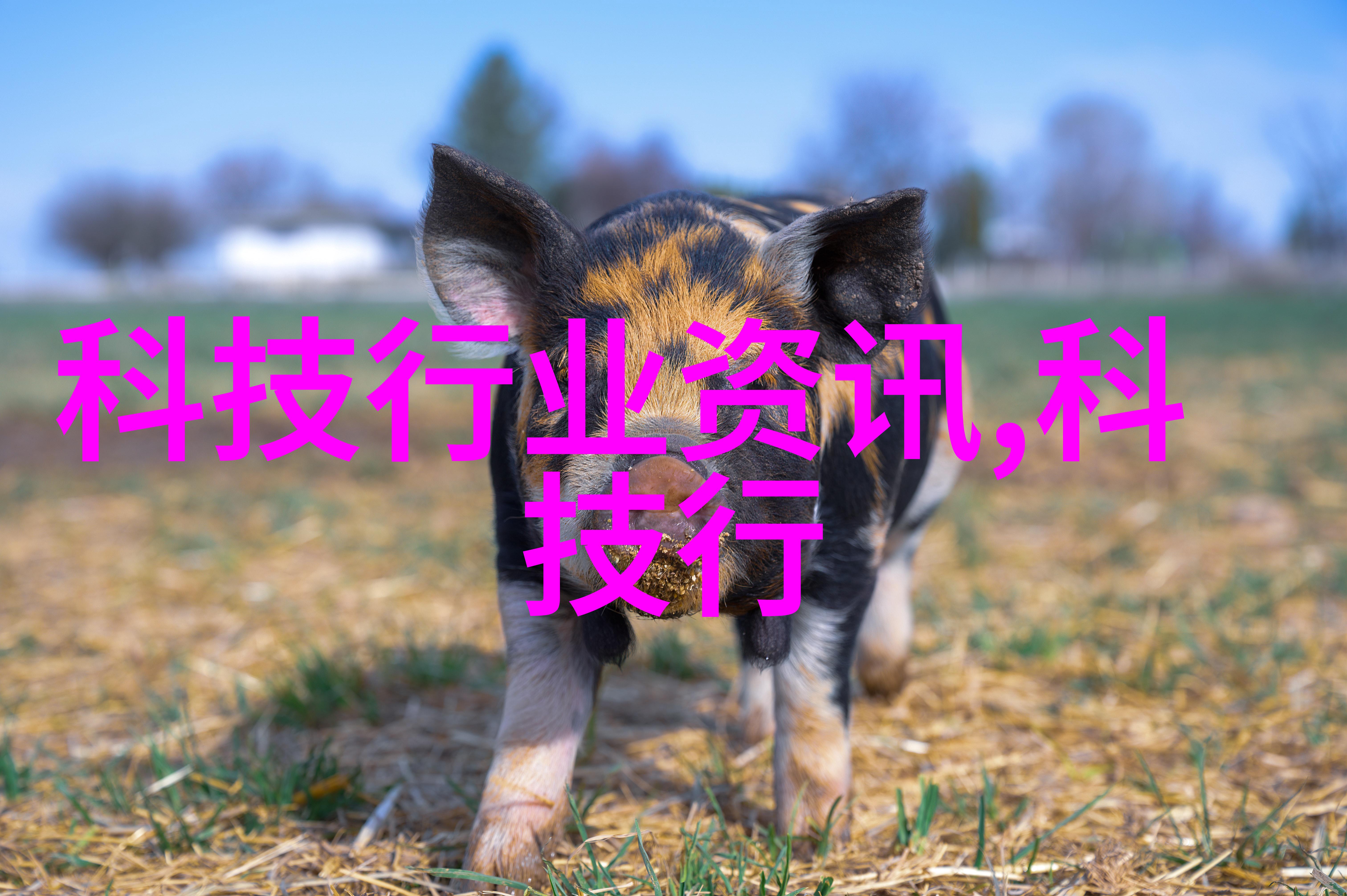 去离子水反渗透制水机我的家用清洁之星