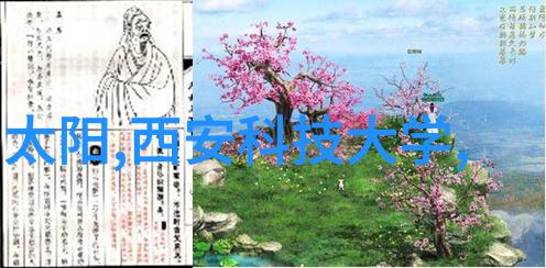 新罗王朝的替身王妃隐秘的权力与爱情故事