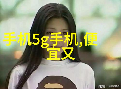 水份测定仪-精确到分的物质分析水份测定仪在食品安全检测中的应用与挑战