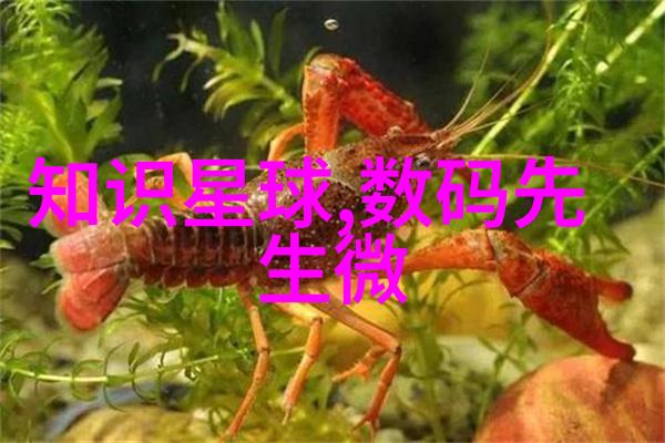化学实验室玻璃仪器大全含试管烧杯漏斗提取棒等多种用途