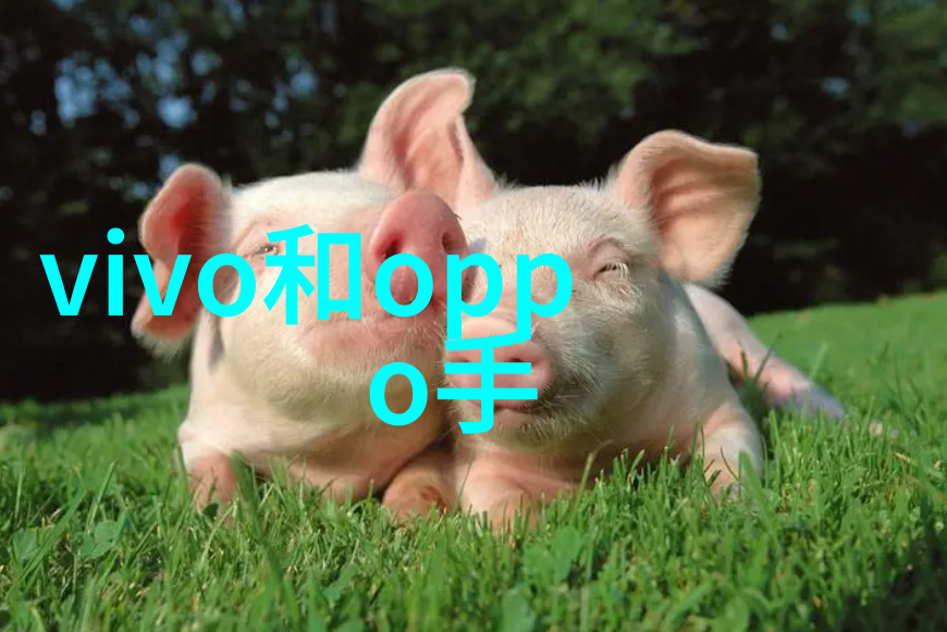 未来发展前景明亮分析当前PE管子市场以及top PE管子厂家的竞争优势