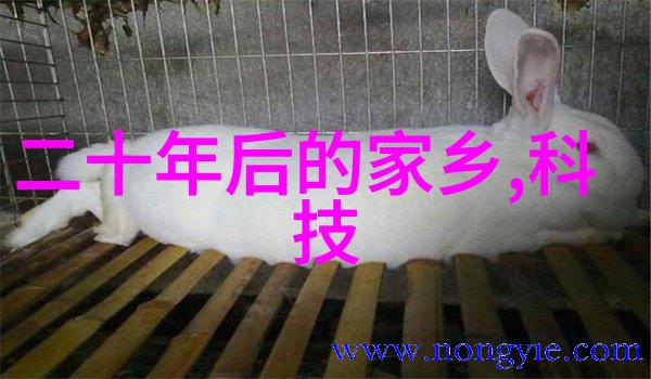 水泥管建筑材料的核心