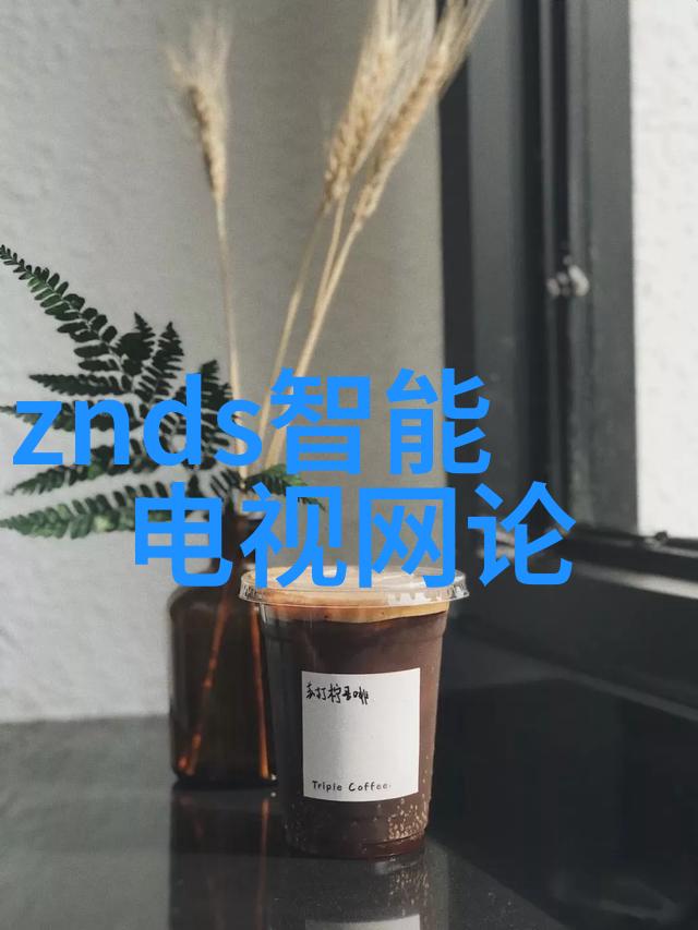 中国芯片之谜-从中国造不出芯片吗到自主可控的技术腾飞