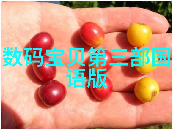 排水管材选择指南了解不同材料的特点