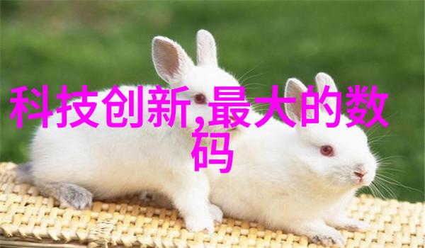 边塞玉器见客皇帝的视角
