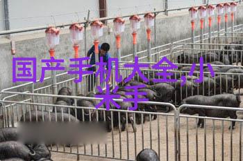 PE排水管材厂家-选择高品质PE排水管材的厂家保障您的建筑安全与美观