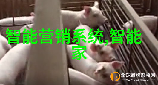 旋转蒸发仪循环加速物质蒸发的科学奇观