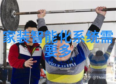 新兴市场机会与挑战世联行股市表现评估