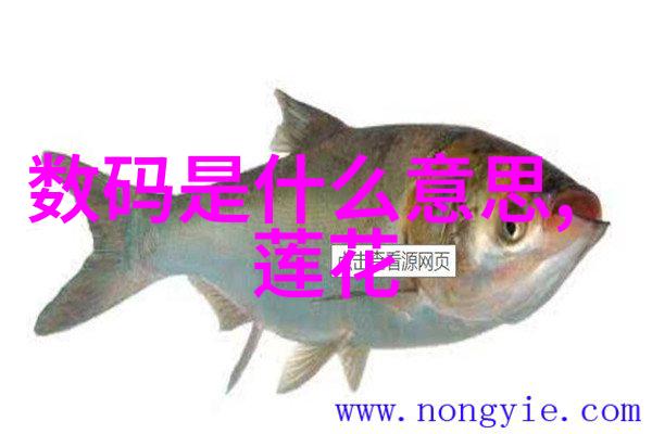 废机油机器的泪滴与未来的梦想