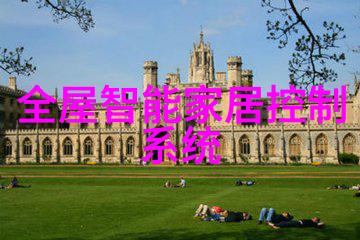 机械配件的秘密花园齿轮与活塞的交响曲