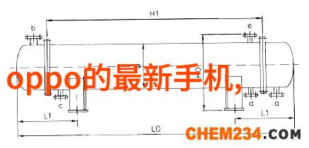 语洁的世界探索一位语言工作者的奇迹与挑战