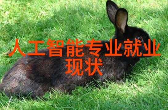 SPS型上旋式筛片机宛如管式离心机的灵魂守护者