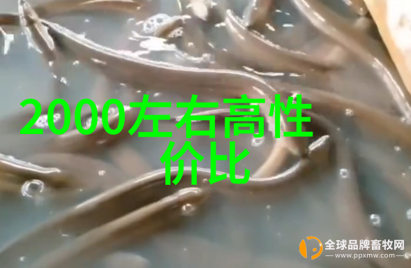 综合国力强弱与国际地位的密切关联