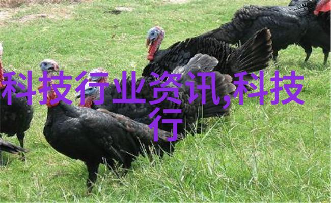 新冠疫情下医院如何提升生物安全柜使用效率