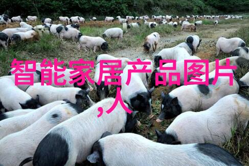 化工提取浓缩蒸发设备我的工业秘密大揭秘