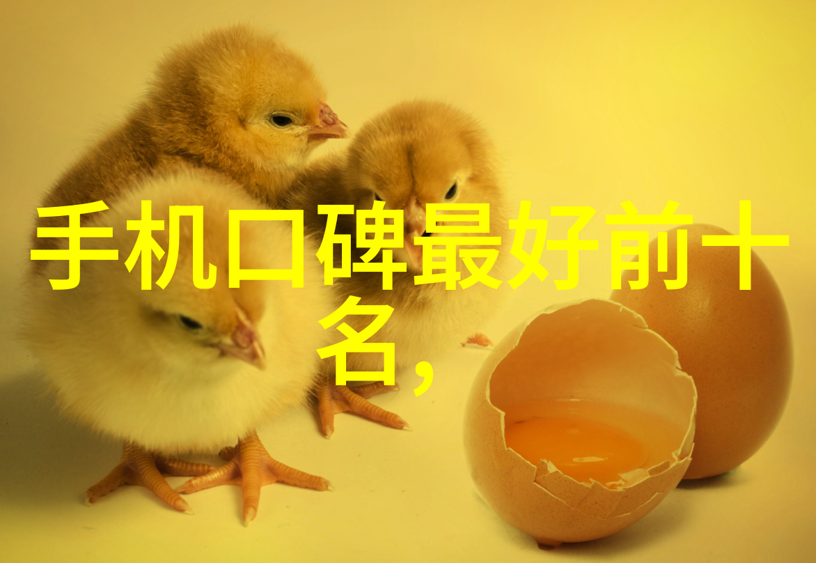 刺客魔传暗影与秘密的交响曲