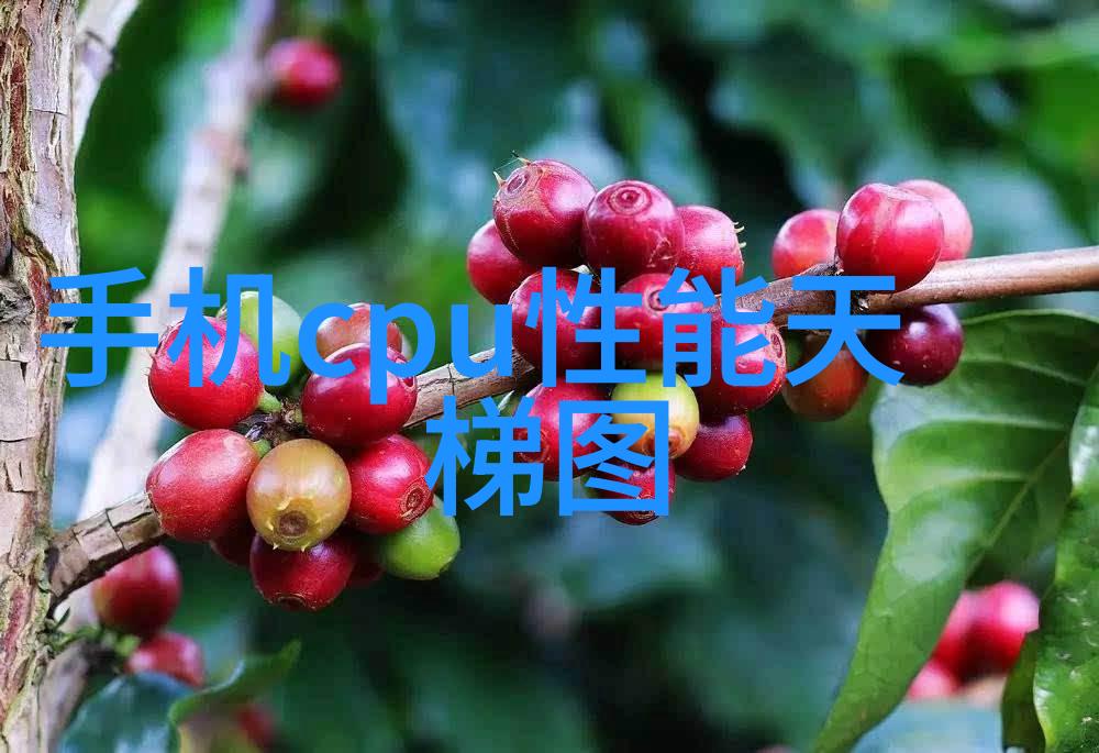塑料技术-PE料型号大全 探索多种用途的聚乙烯材料