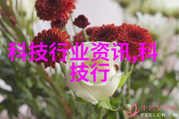 化肥破碎机高效农场用途的机械设备