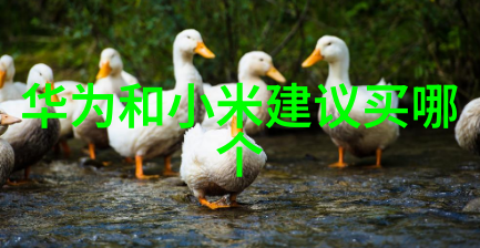 化工实验室设备我这里的新鲜事儿揭秘那些让实验更高效的神器