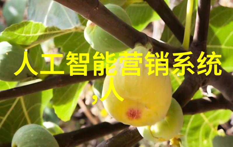 物料运输的节奏振动料斗的奇迹