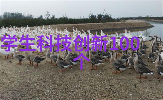 绿色制造实践如何通过调整不锈钢波纹填料密度降低能耗