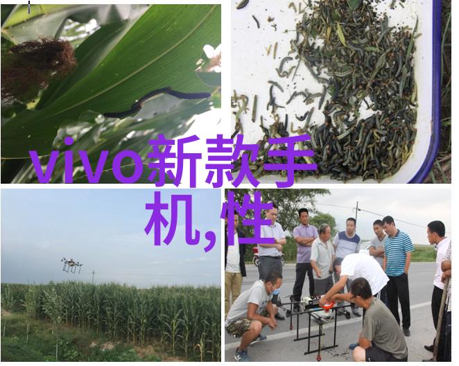 分解之柱科学的精细舞蹈