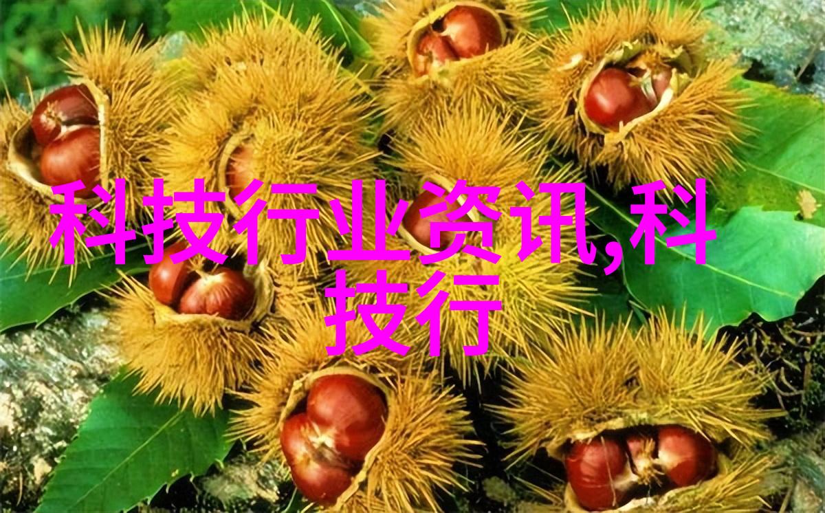 湘江之光湖南水利水电职业技术学院的辉煌与梦想