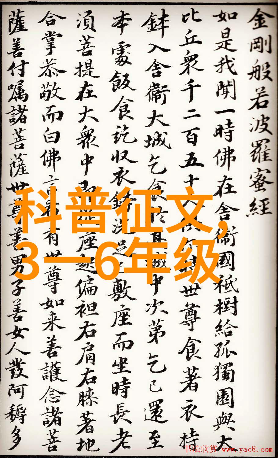窈窕淑男探索传统美学中的男性魅力