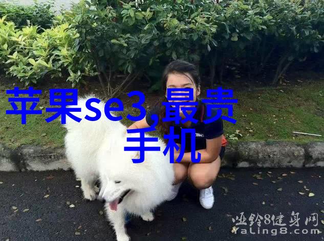 网络之翼守护者们的故事