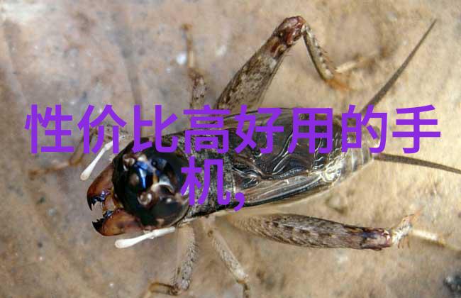 读书报告我是如何从三体中悟出宇宙的无限奥秘
