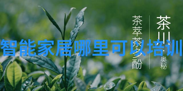 分子筛之谜解开生命科学的秘密门扉吗