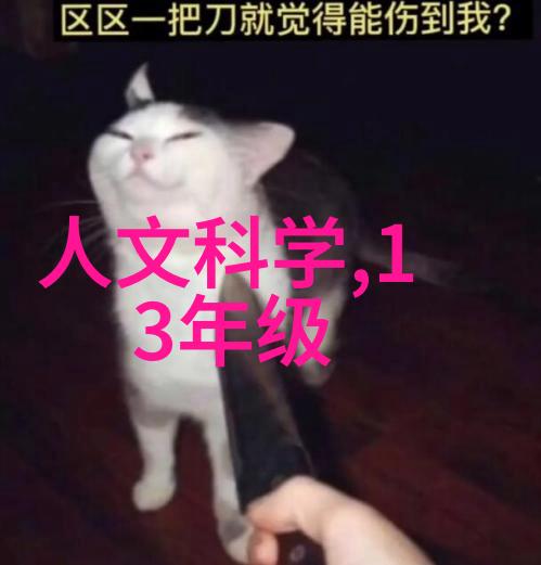 高压液体活塞压力仪器用于科学研究和工业测试的精确设备