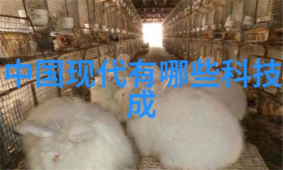 在选择球墨铸铁管时我们应该关注什么样的标准和规范