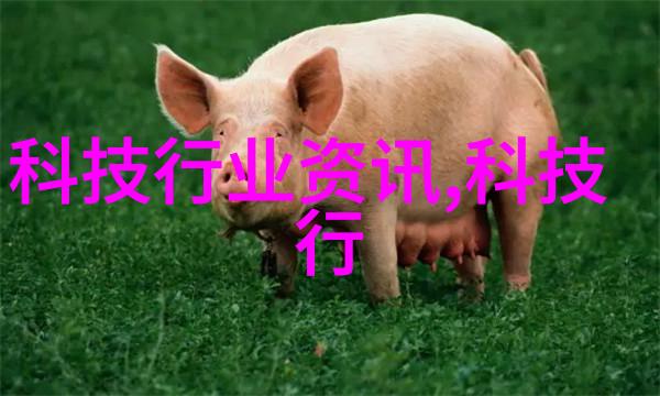 噤声之谜隐秘的听觉密码