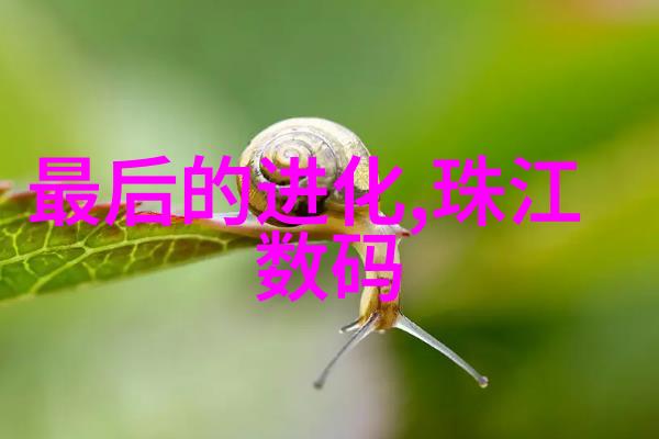 风之轮轴流通风机的旋转篇章