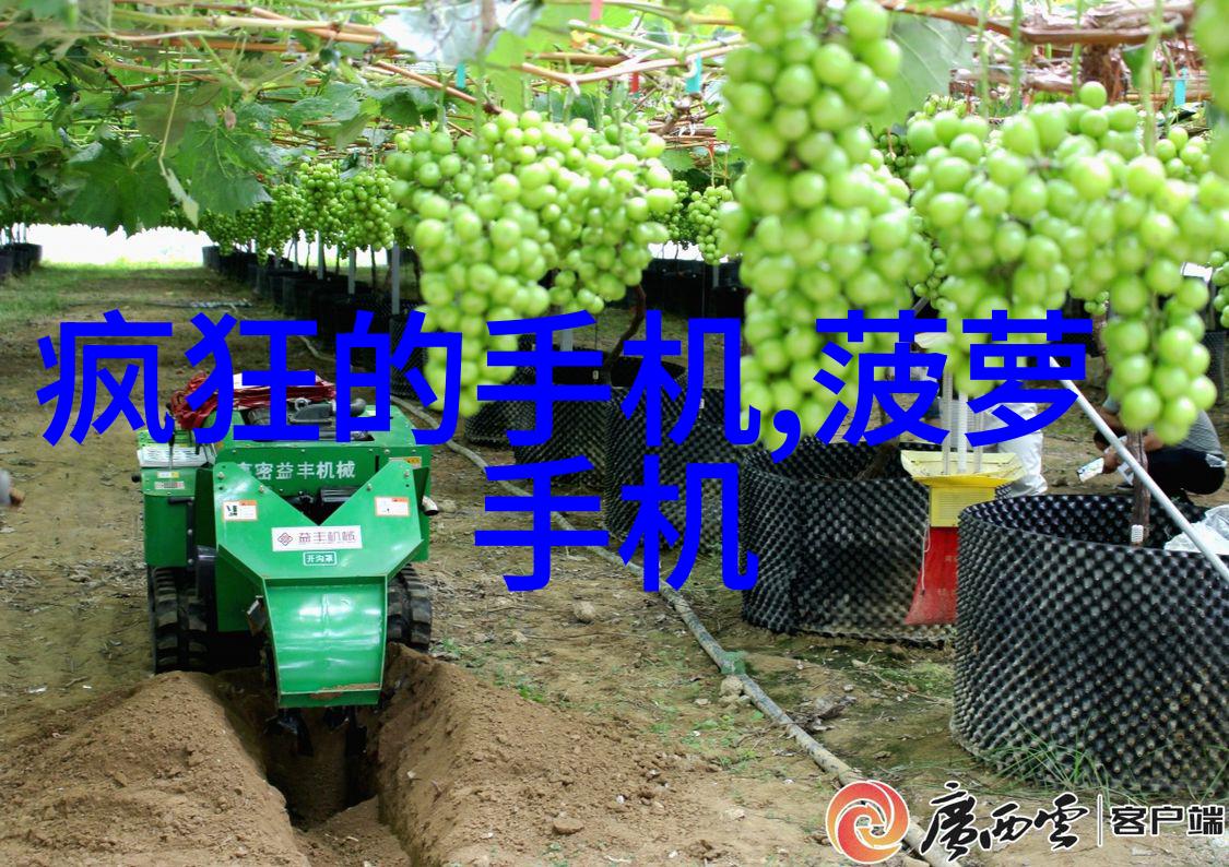小型企业如何实施简单有效的自行处置方案