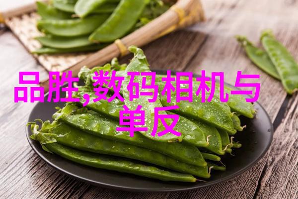 我来告诉你 排水管材料种类别被忽视了