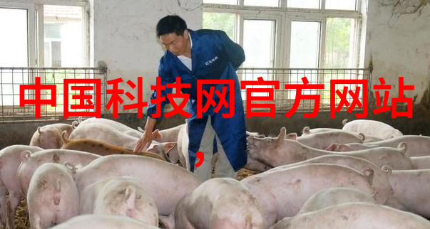 医疗设备-台式蒸汽灭菌器确保医疗环境的清洁与安全