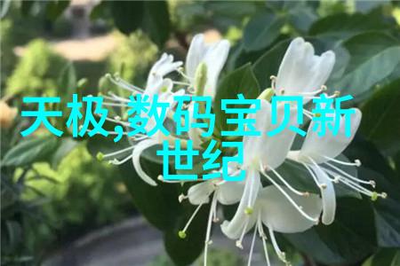 铝的光辉与阴影