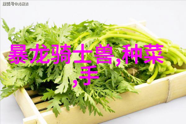 东方财经我来给你炒股的秘籍