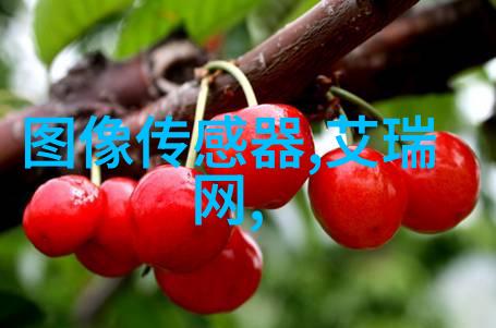 张珊珊检测机构-高精度检测张珊珊带来新纪元