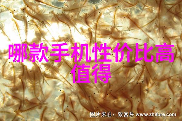 集装箱活动房我的移动家园