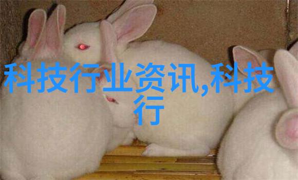 不锈钢管的焙烧之旅退火炉中的秘密舞蹈