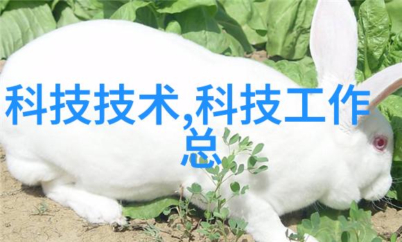 机械设备-螺旋卸料离心机高效物料分离与处理的新选择