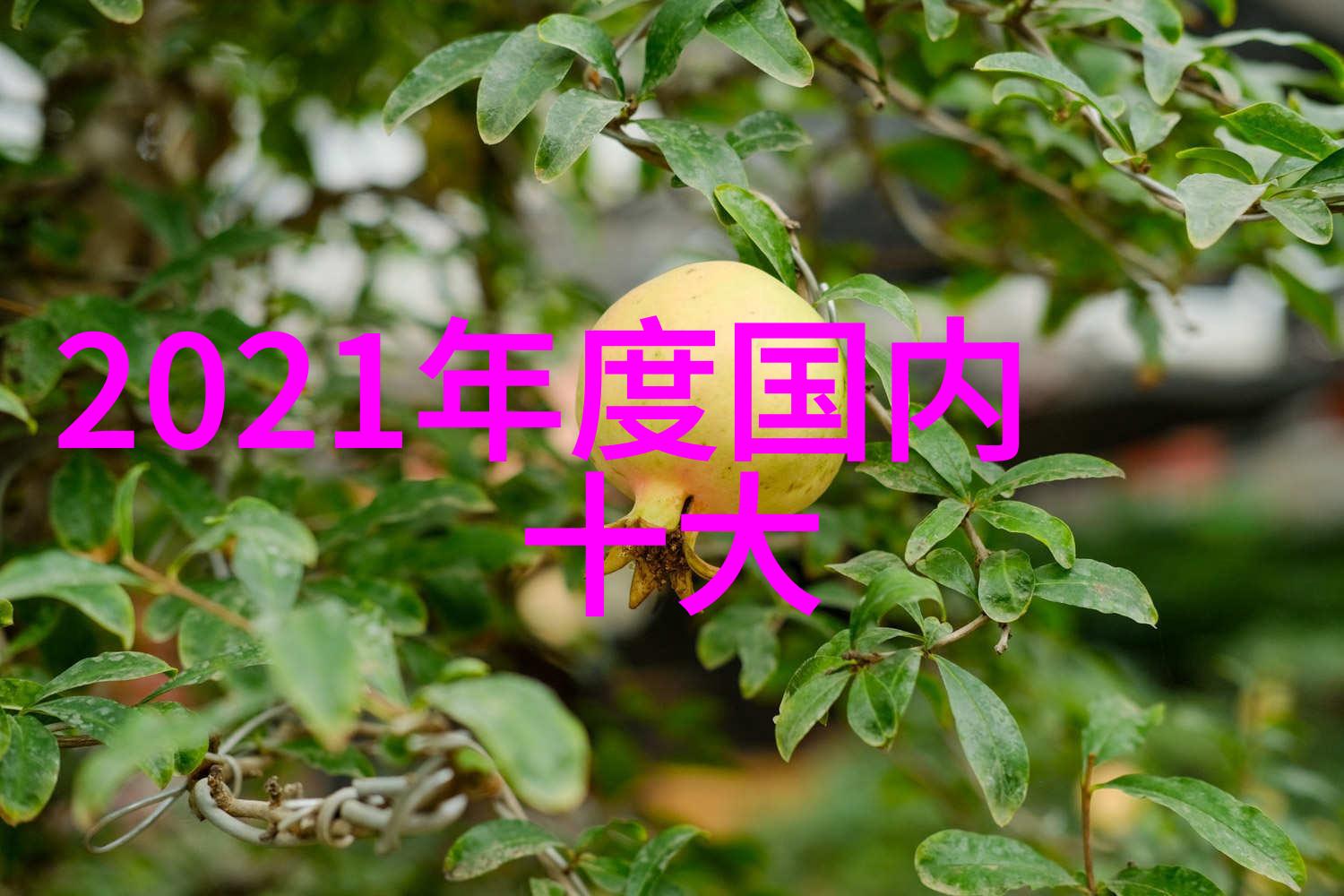 工业级别高效能量转换器在冷静水系统中作用及其内部构造示意图说明