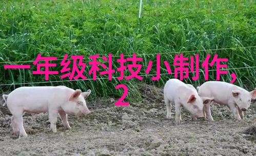 水过滤设备的选择与维护艺术